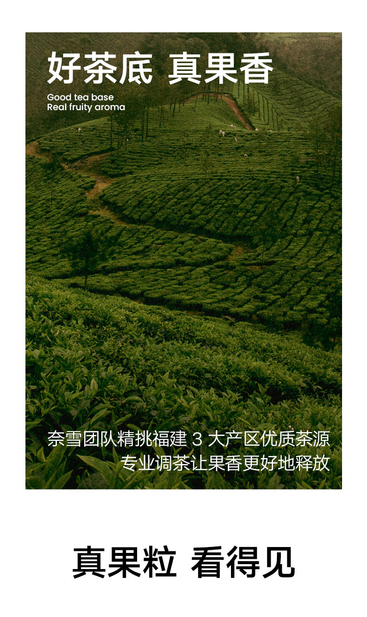 奈雪的茶 葡萄乌龙茶  袋泡果茶 7袋一周茶
