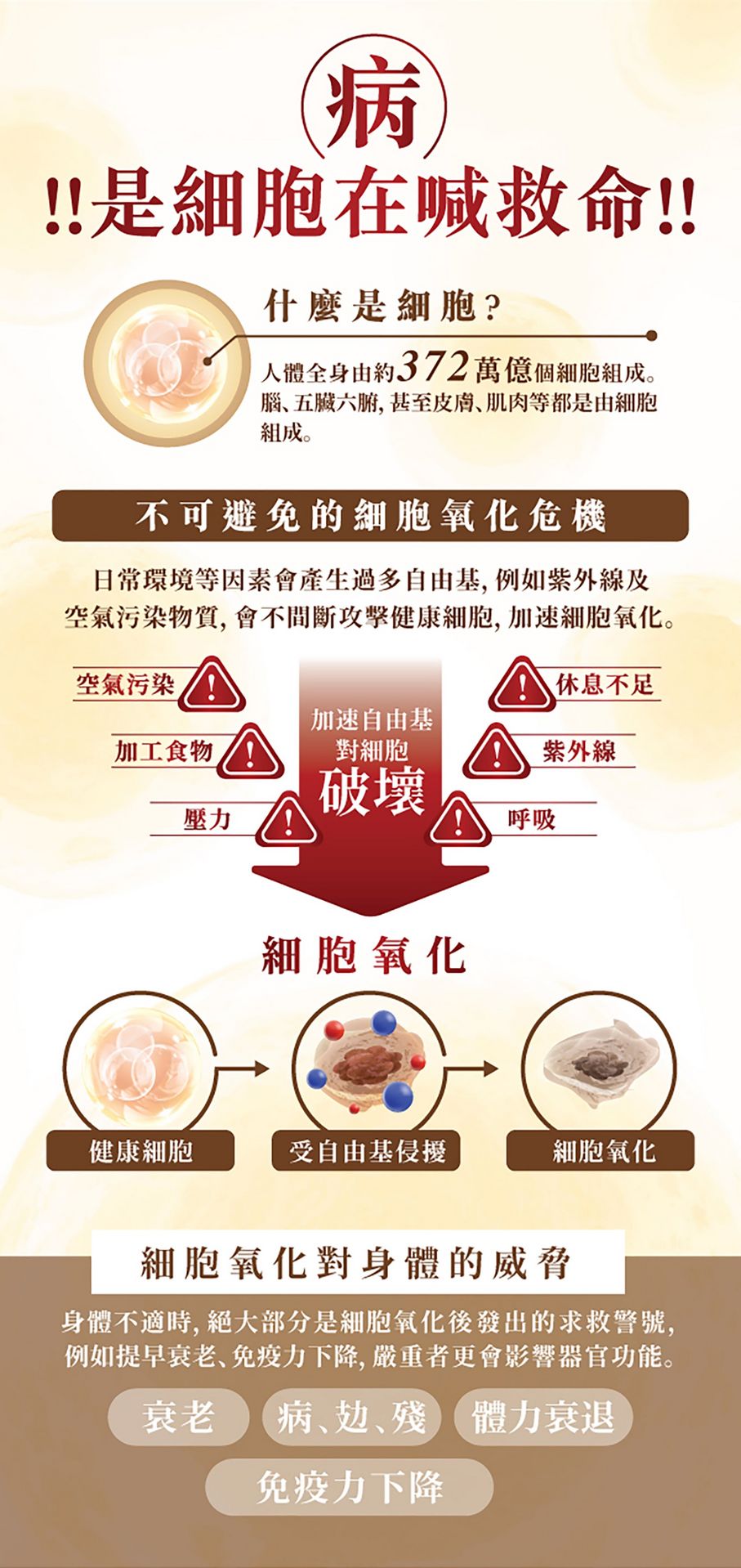 VGL2025005-LingZhi_PDP-20250528-(1)_04.png__PID:bfbd94a4-1e6f-40fa-9c31-cdd55c6e3653