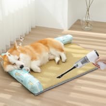  3 in 1 cordless Handheld Vacuum