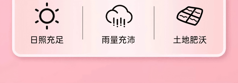 【酸甜可口】比比贊(BIBIZAN) 凍乾草莓 水果乾果脯蜜餞網紅小吃解饞休閒零食品38g/袋