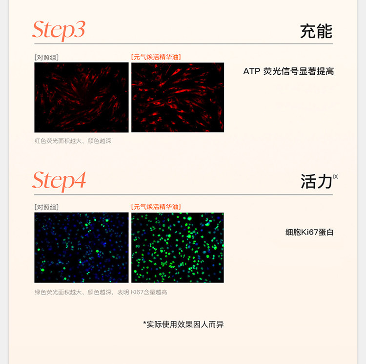 【中国直邮】 德国 天露芬 元气精华油 10ml【 改善暗沉疲态垮脸】帕梅拉同款有机精华油 焕亮充盈肌肤 急救熬夜蜡黄 便携迷你修护提亮