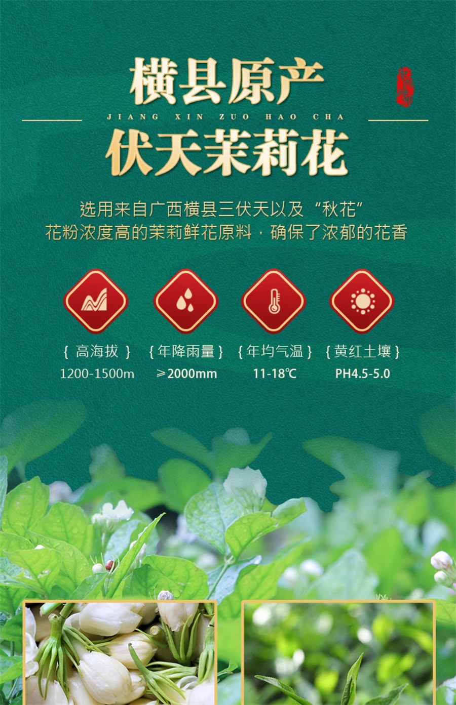 【中国直邮】中闽峰州   茉莉龙珠茉莉花茶特级浓香型 2024新茶叶绣球礼盒装  500g/桶