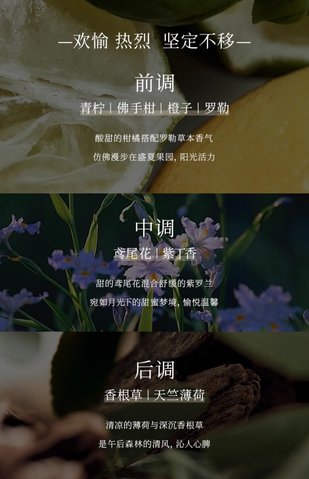 weee pdp description image 3176