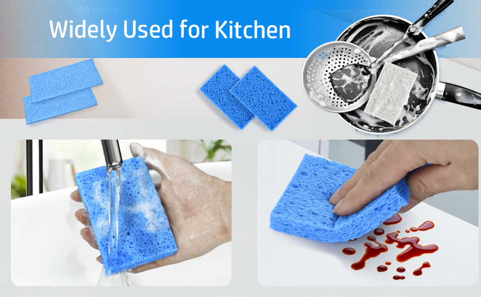 dish sponges kitchen
