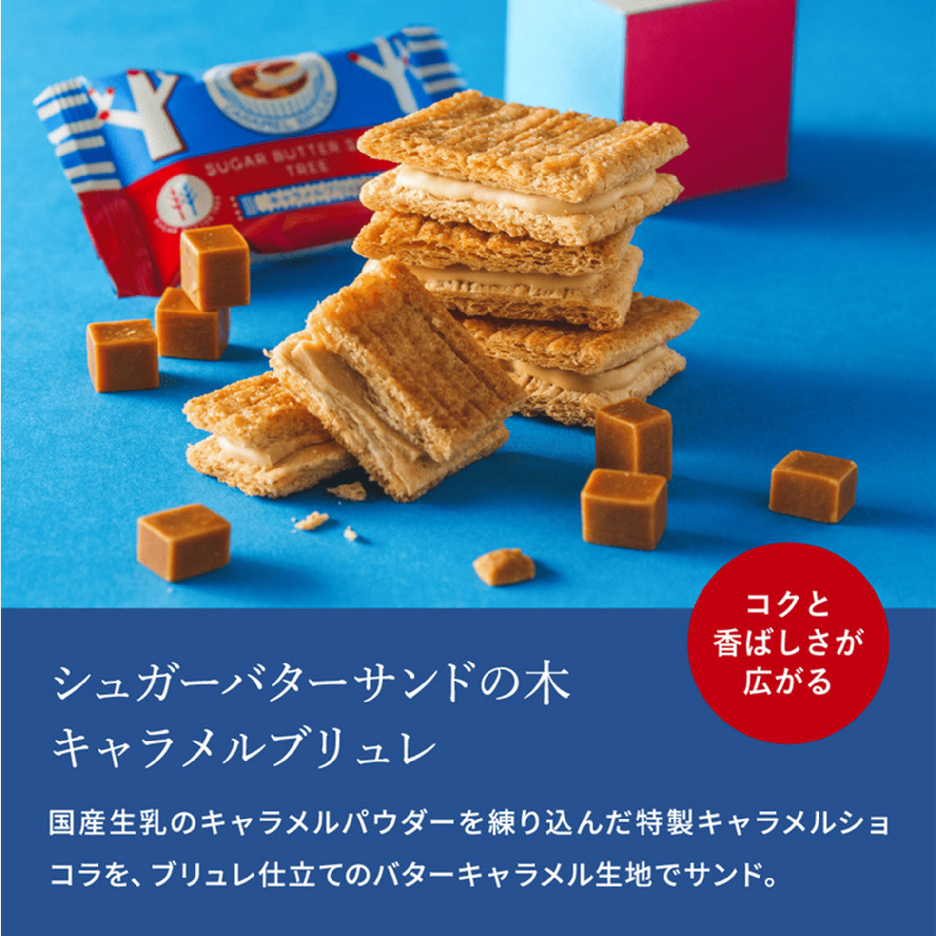 シュガーバターの木 コレクション 34袋入 1 個 - Weee!