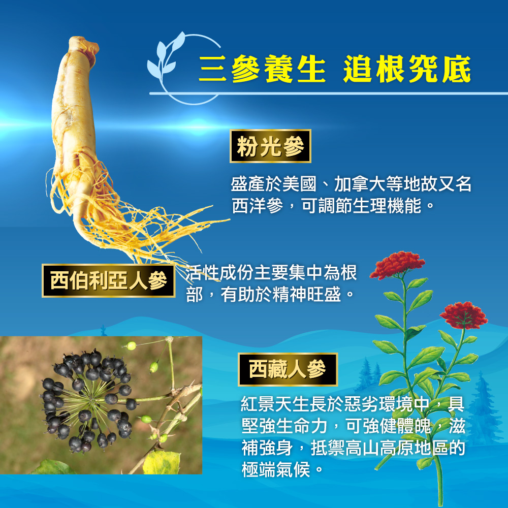 西洋參
