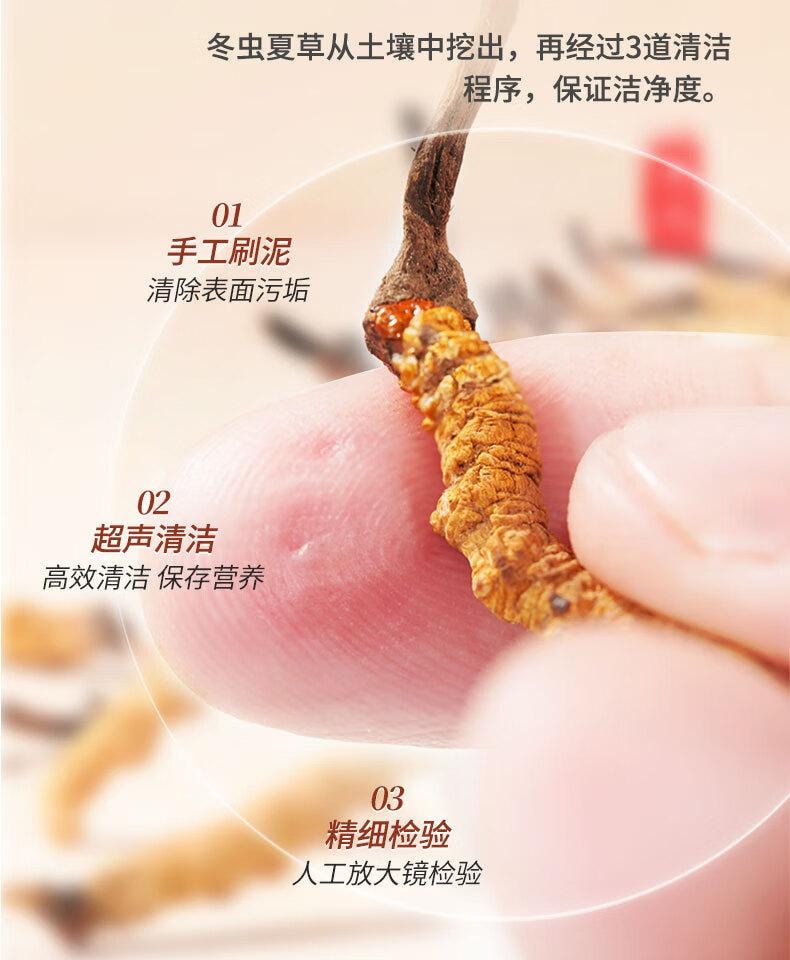 【中華老字號 江浙滬第一品牌】雷允上手工精選冬蟲夏草2g【8倍高腺苷】 凍乾蟲草更高品質 養生滋補品 中秋過年送禮禮品