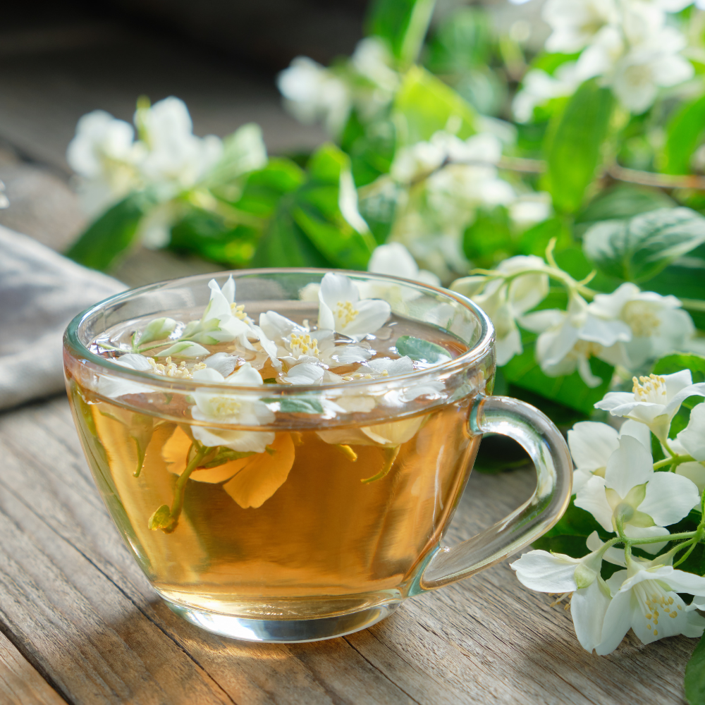 Tradition Jasmine Green Tea 100 Bags