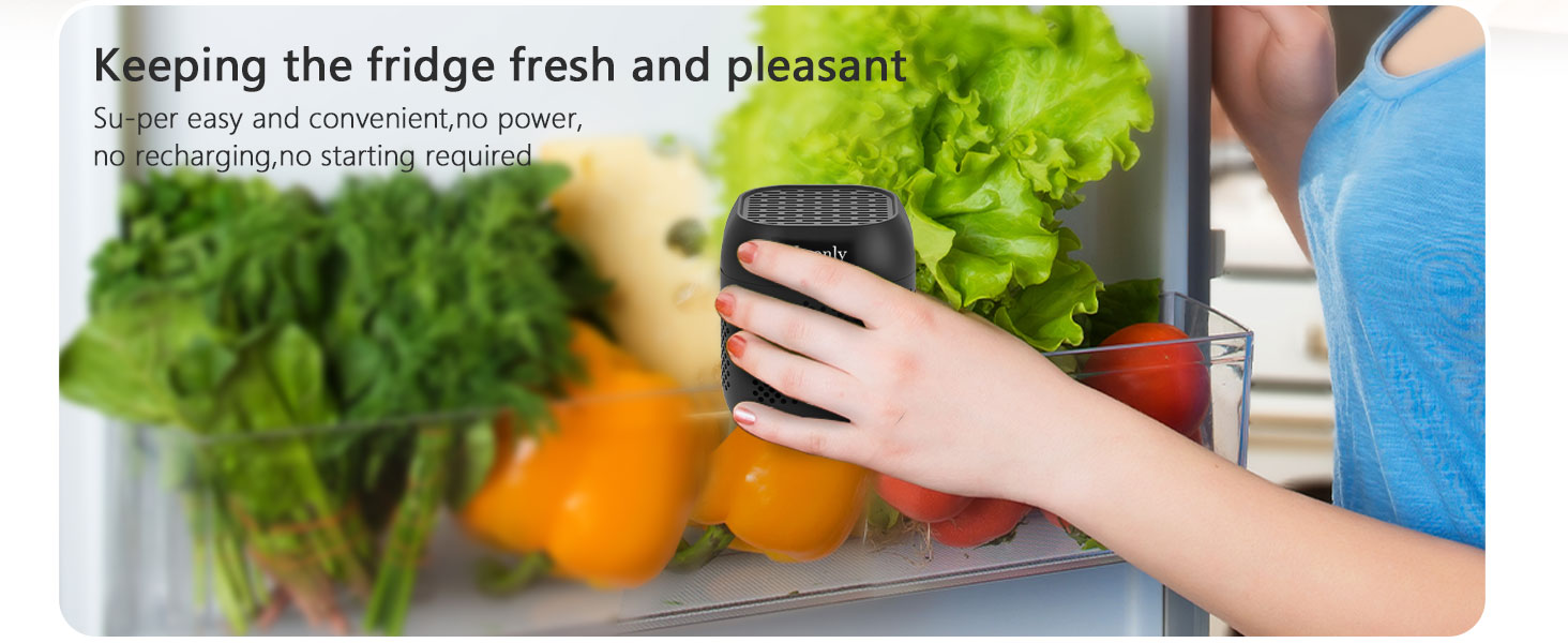 fridge deodorizer odor eliminator