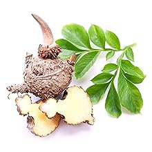 Konjac