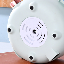 Electric Hot Pot 2.2L with Steamer