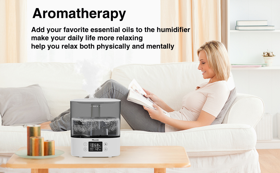 Cool Mist Humidifiers