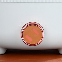 Electric Hot Pot 2.2L with Steamer