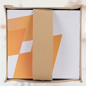 Aisoso 纸巾盒套 300x300-1