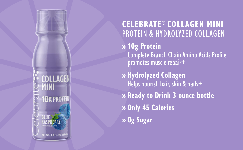含 BCAAS 氨基酸的 Protein Mini Protein Drinks 蛋白飲料,多樣性,主要特點