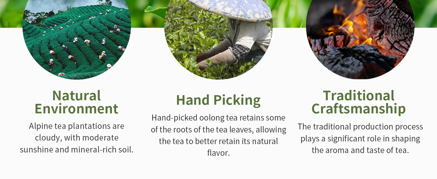 floral oolong tea