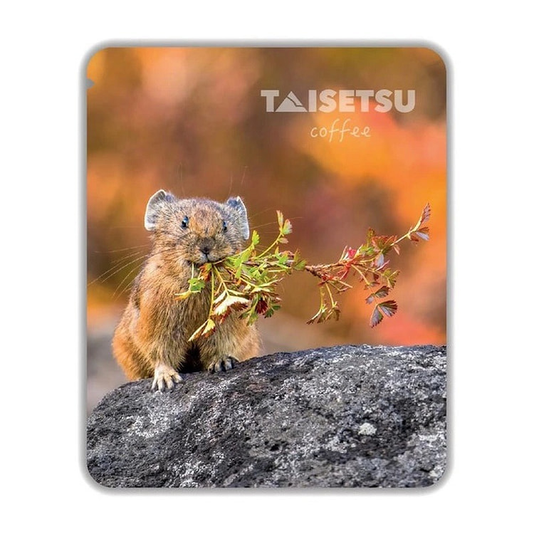 日本北海道TAISETSU 秋巢滤挂咖啡1袋
