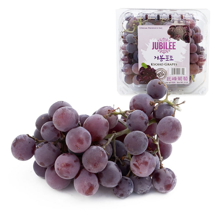 日本画葡萄Ⅰ葡萄Ⅱ