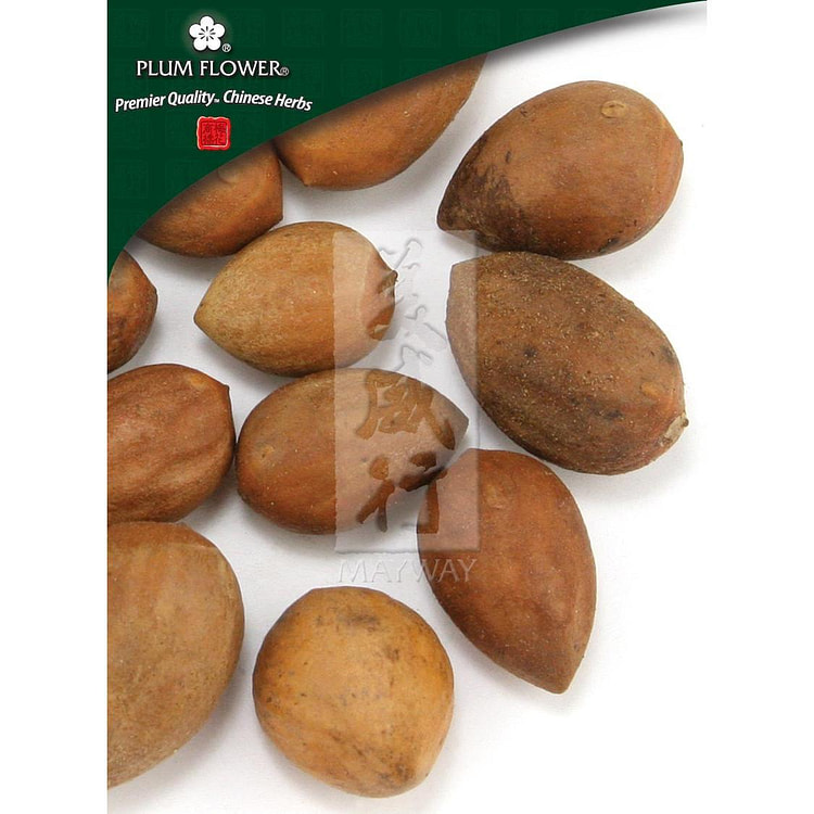 Fei Zi, unsulfured Torreya grandis seed