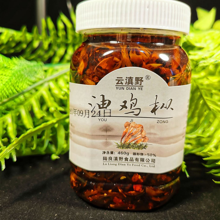云南特产油鸡枞菌一瓶