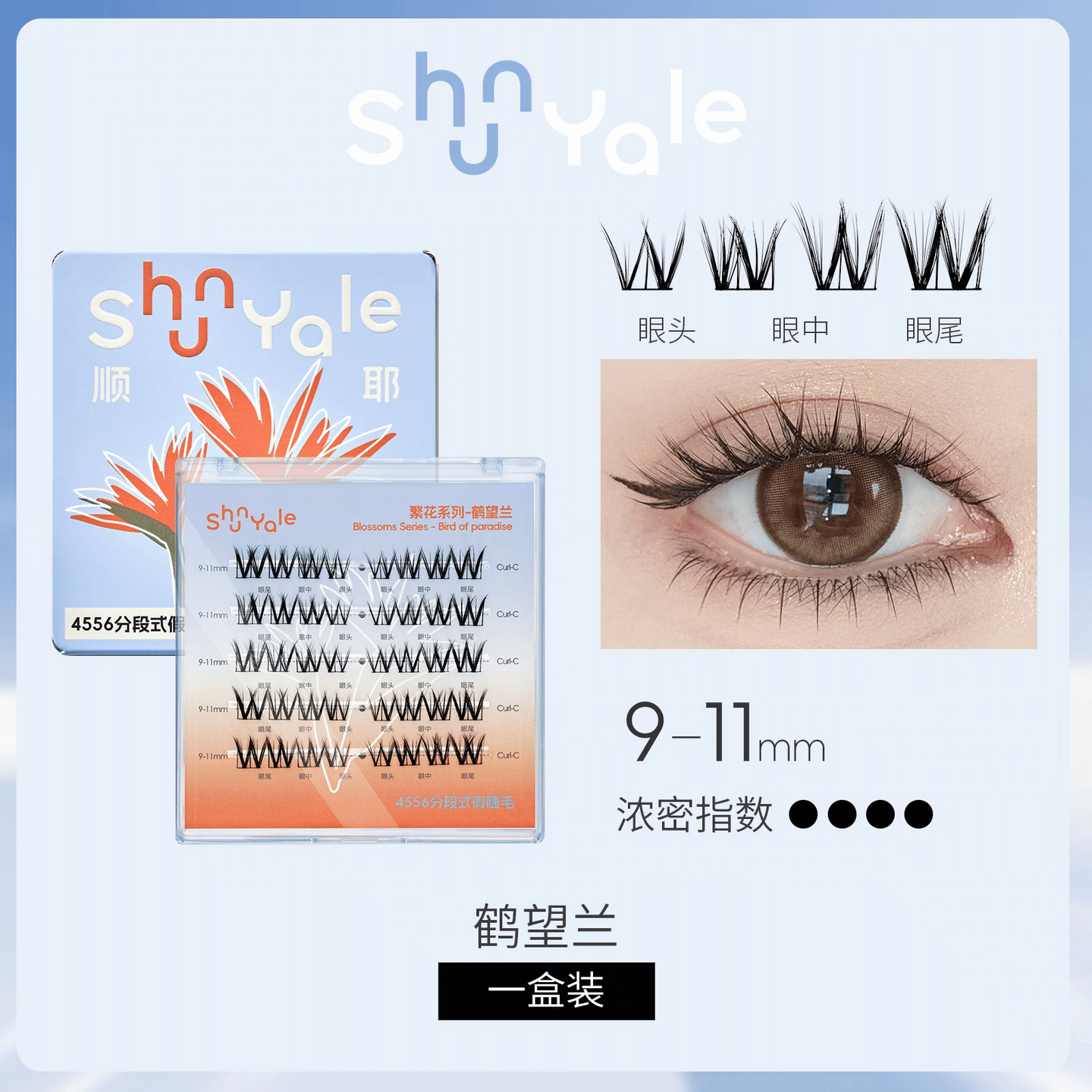 Segmental False Eyelashes Novice Naturally-Strelitzia Reginae 1Box 1 box