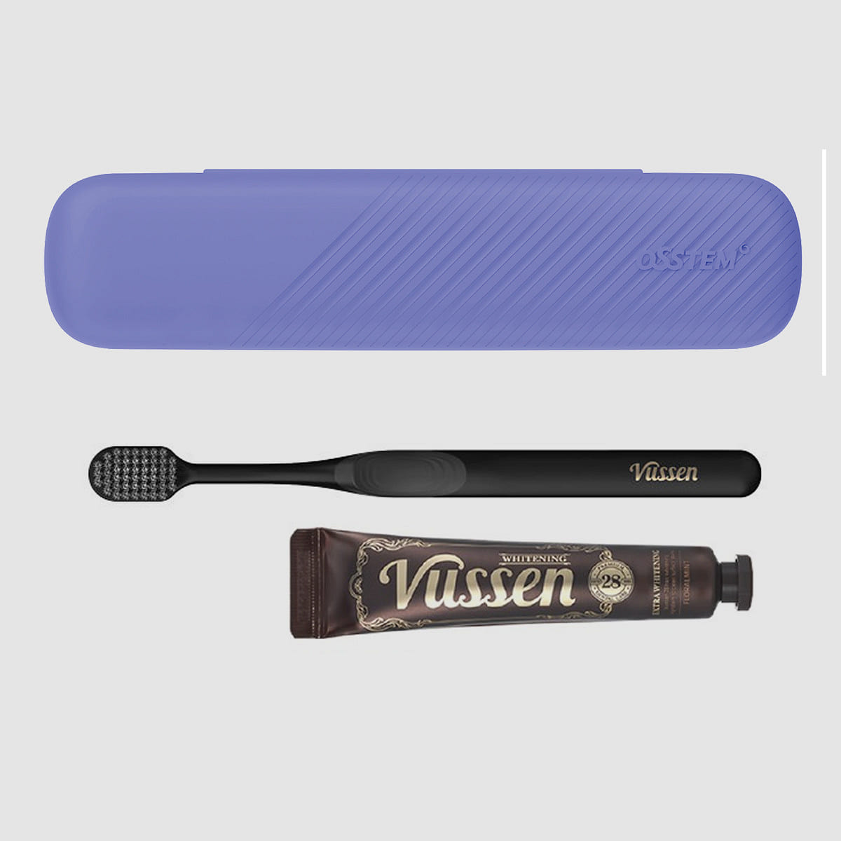Vussen Dental Travel Kit (Purple Case/Black/28) 1 each