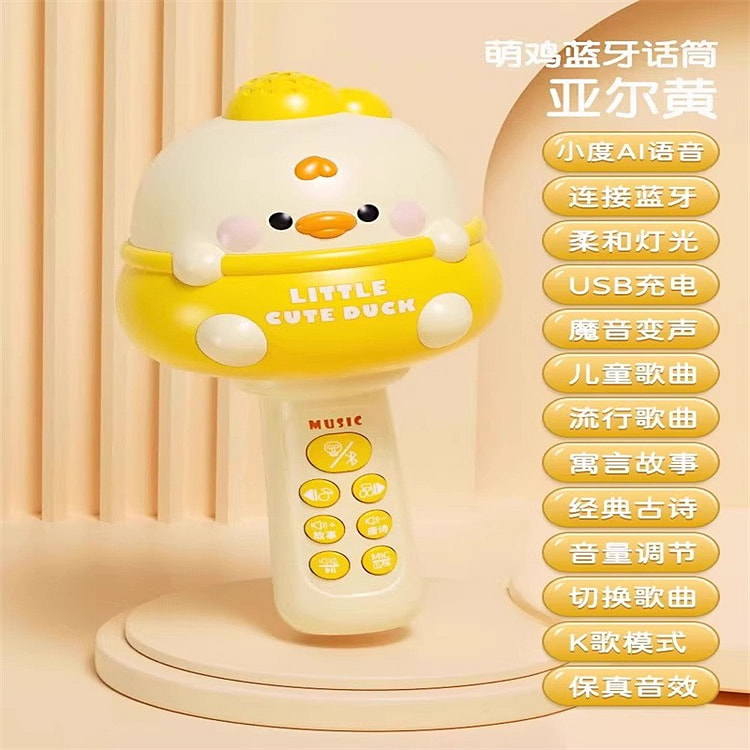 Children's Microphone Early Education Puzzle 1-3 Y
