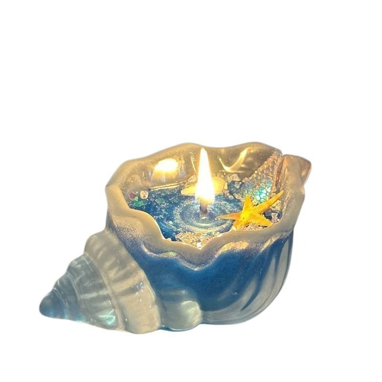 Xiangyu Transparent Sea Snail Aromatherapy 1 1 case