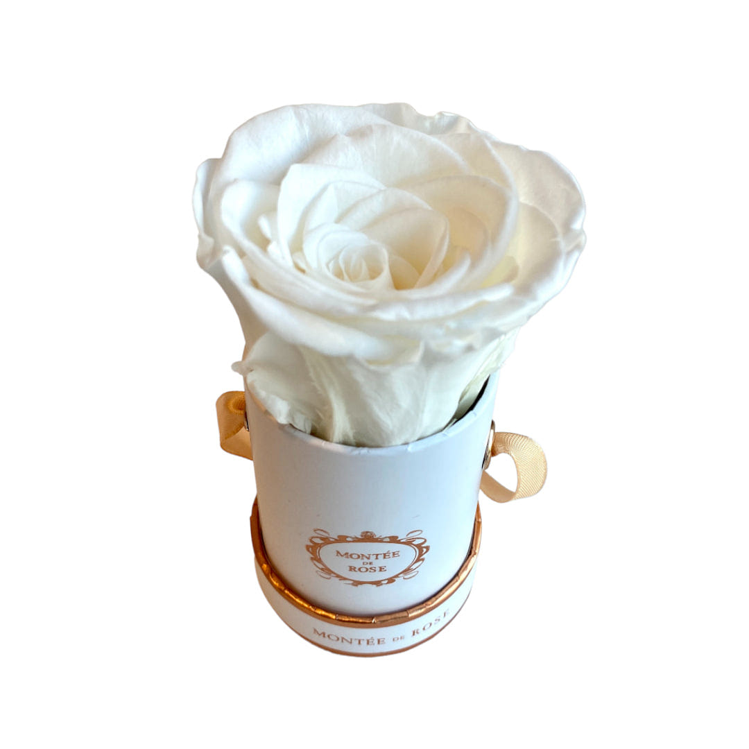 White Mini Round Pure White 1 each