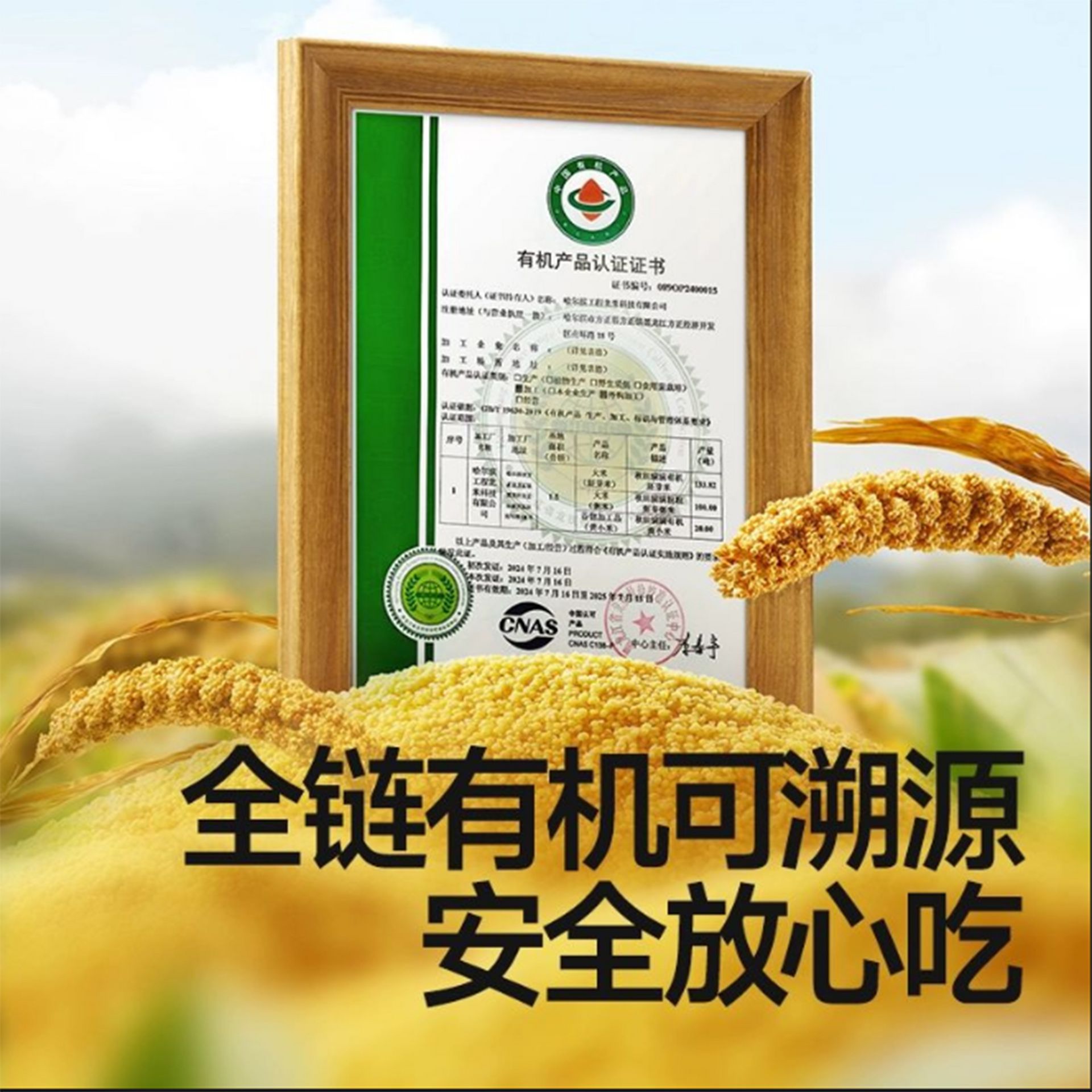 こめさいさい Akita full of organic yellow millet 300 g - Weee!