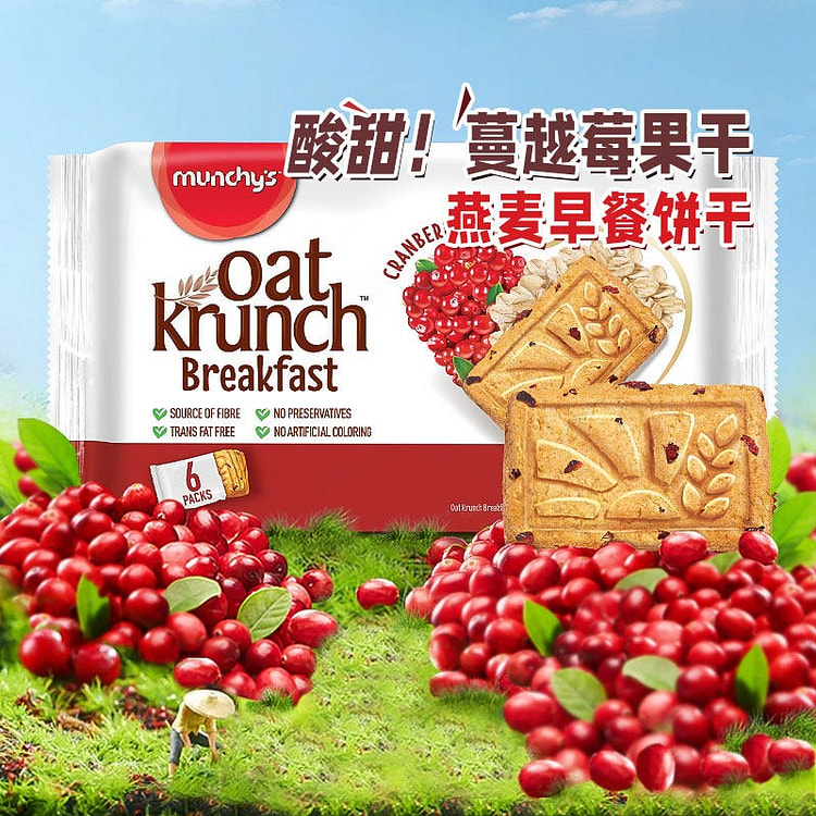 马奇新新 早餐燕麦（蔓越莓味）曲奇代早餐 1袋 208 克
