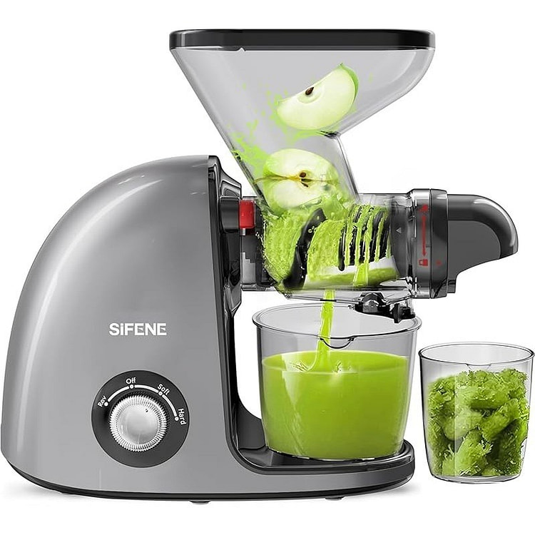 150W Slow Masticating Juicer Machine, Gray