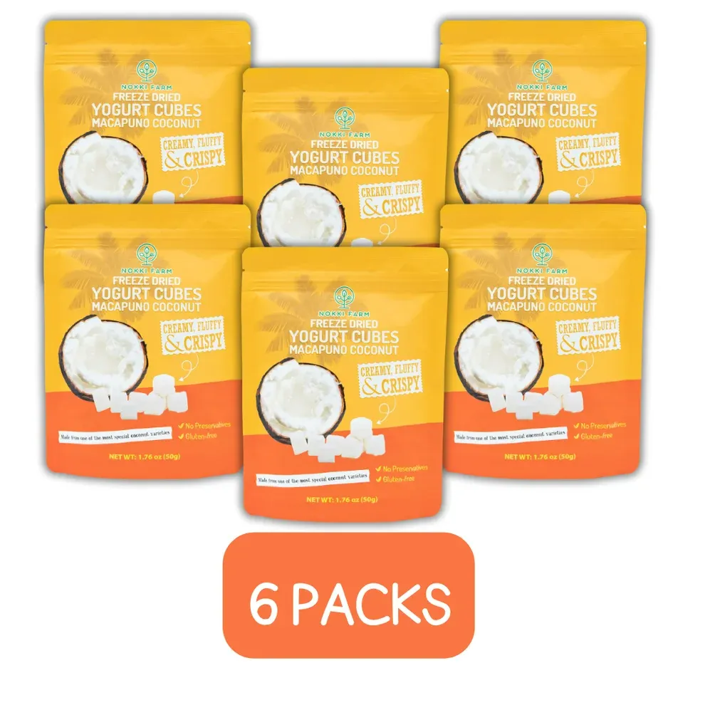 Freeze Dried Macapuno Coconut Yogurt 6 packs 300 g