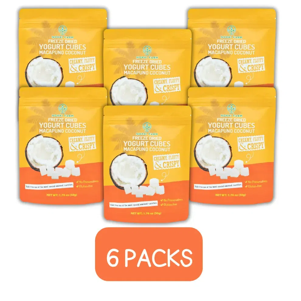Freeze Dried Macapuno Coconut Yogurt 6 packs 300 g
