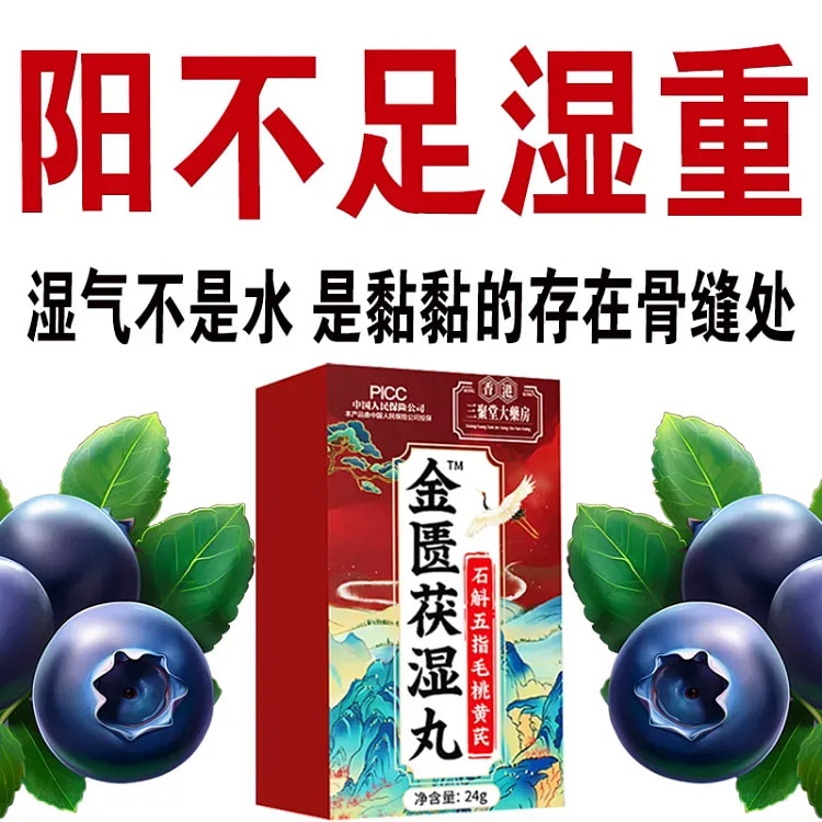 金匮伏湿丸祛湿气健脾丸茯苓黄芪石斛