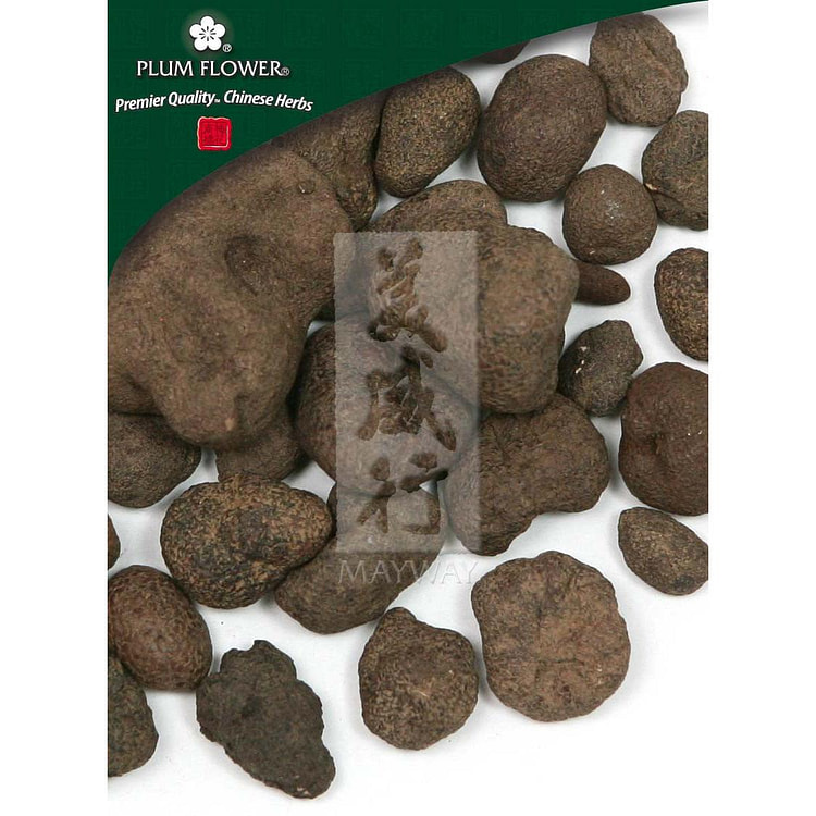 Lei Wan, unsulfured Omphalia lapidescens fungus