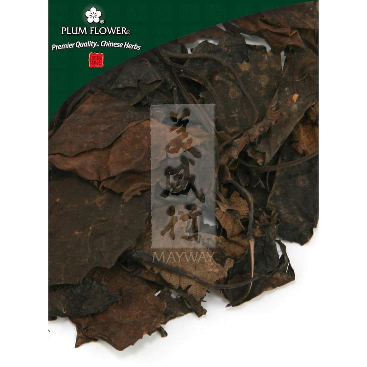 Lu Xian Cao, unsulfured Pyrola calliantha herb