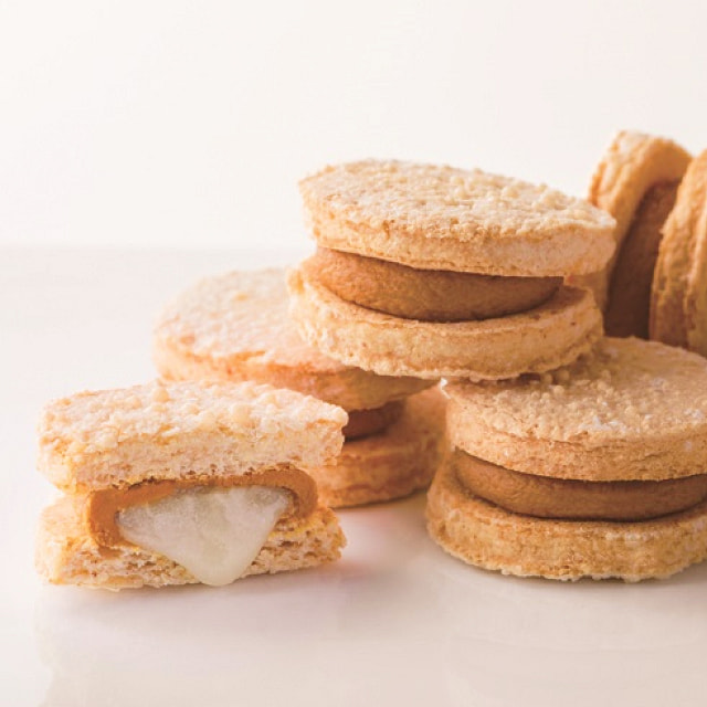 Nagoya France Biscuits Gift Box 5 Pieces