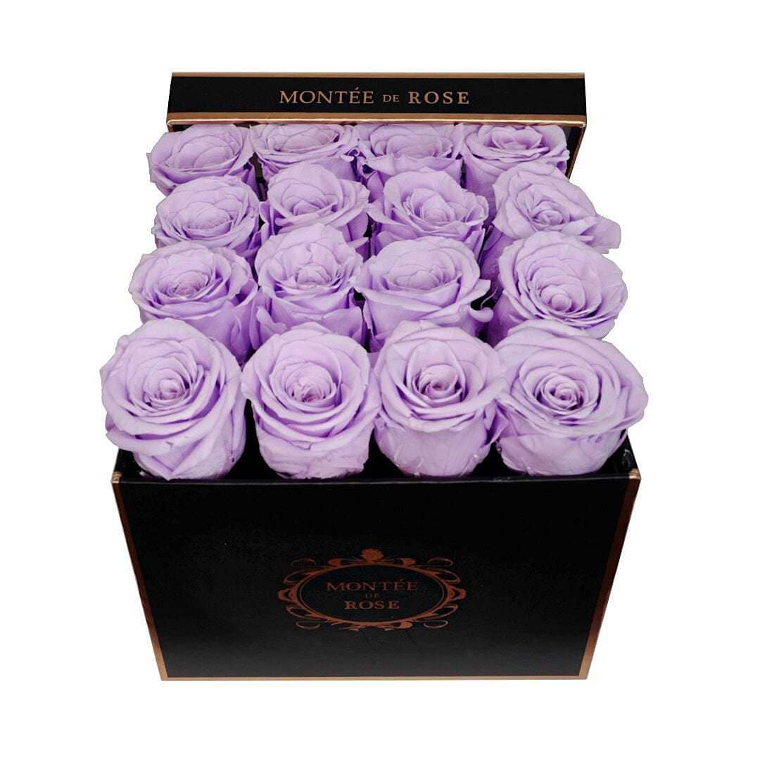 Black Medium Square Light Purple 1 each