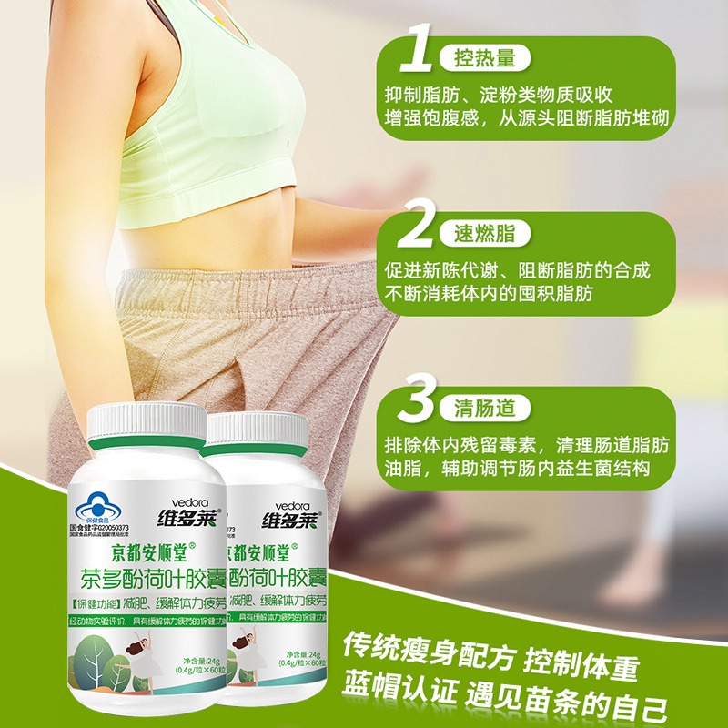 l carnitine tea polyphenol lotus leaf PDF) The Effect of L-Carnitine, Green Extract and Extract on the Body Fat Percentage in High Energy Diet-Induced Obese Rats Tea Polyphenols Lotus Leaf Capsules