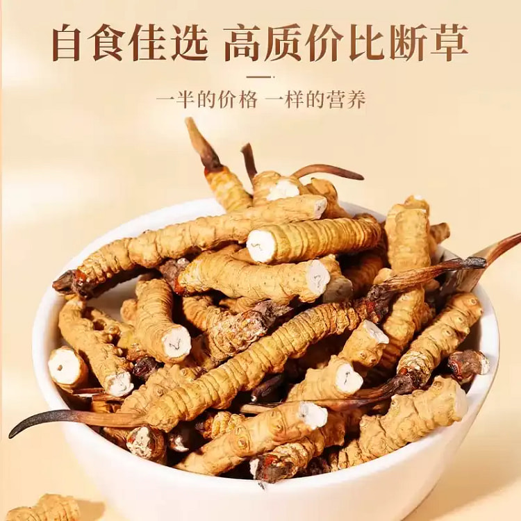 Broken Cordyceps sinensis