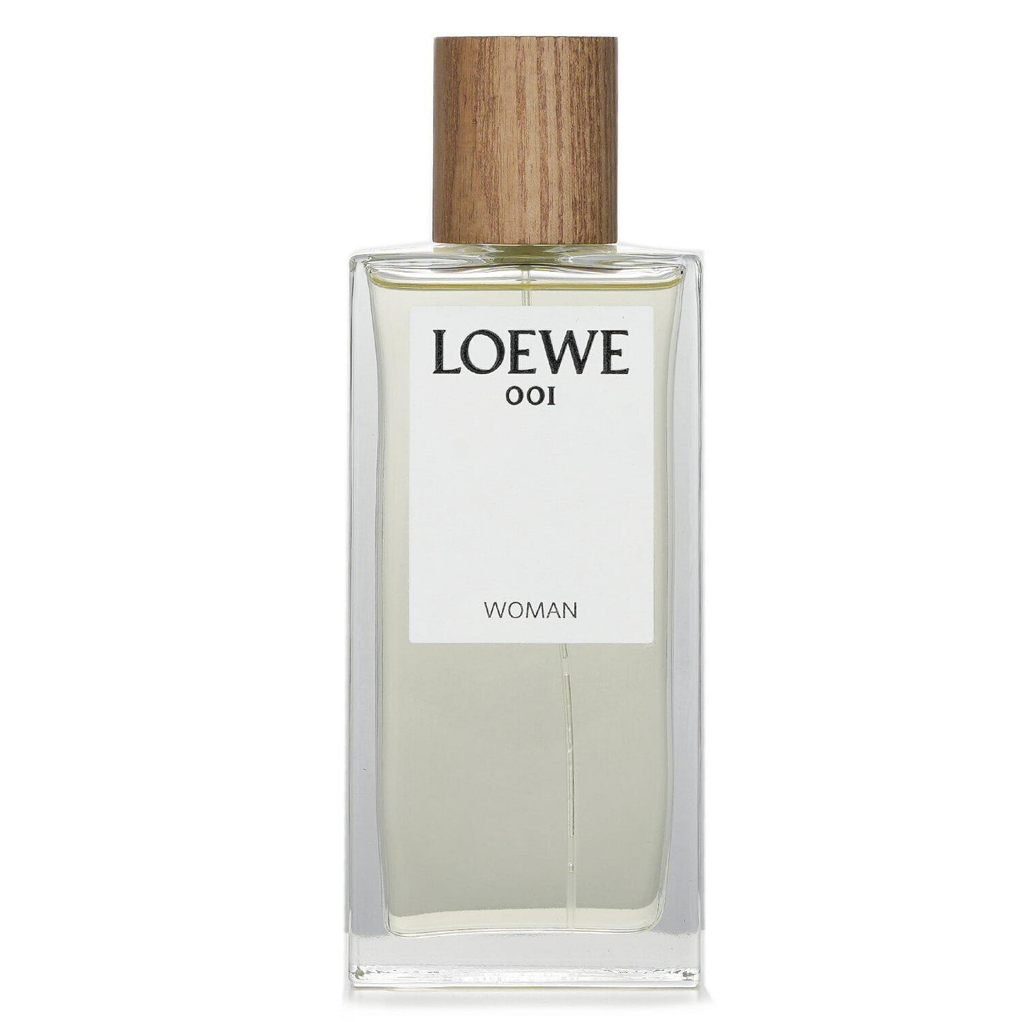 Loewe Eau De Parfum Spray 100ml/3.4oz 100 ml