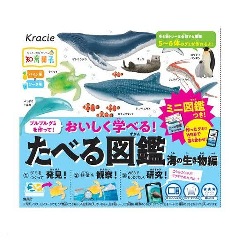 Kracie Foods Food Encyclopedia: Sea Creatures 1 each