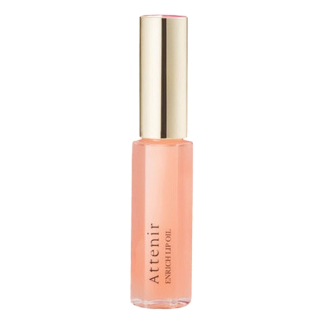 Enrich Lip Care Lip Care Enrich Moisturizing Oil 1 each