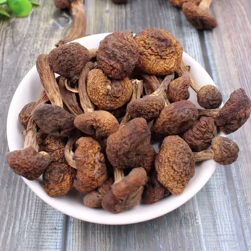 Northeast specialty wild hazel mushroom diced dried goods chicken stewed mushroom Changbai Mountain mushroom 250g*1 bag 250 g