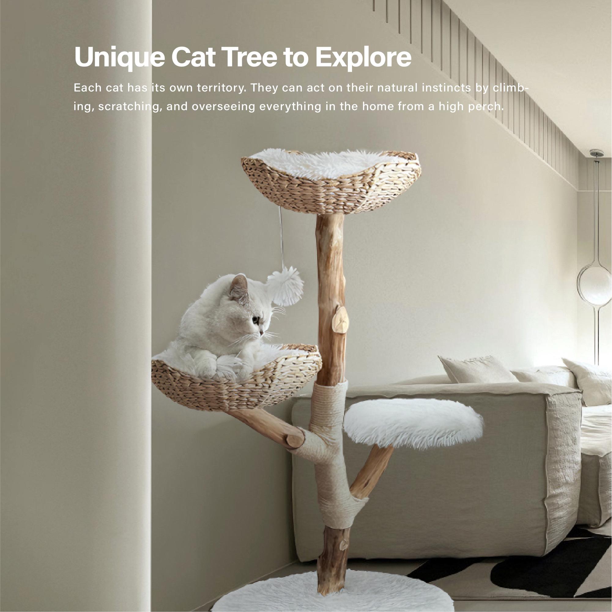 Get Injollylives Handmade Natural Wood Cat climbing frame Tree
