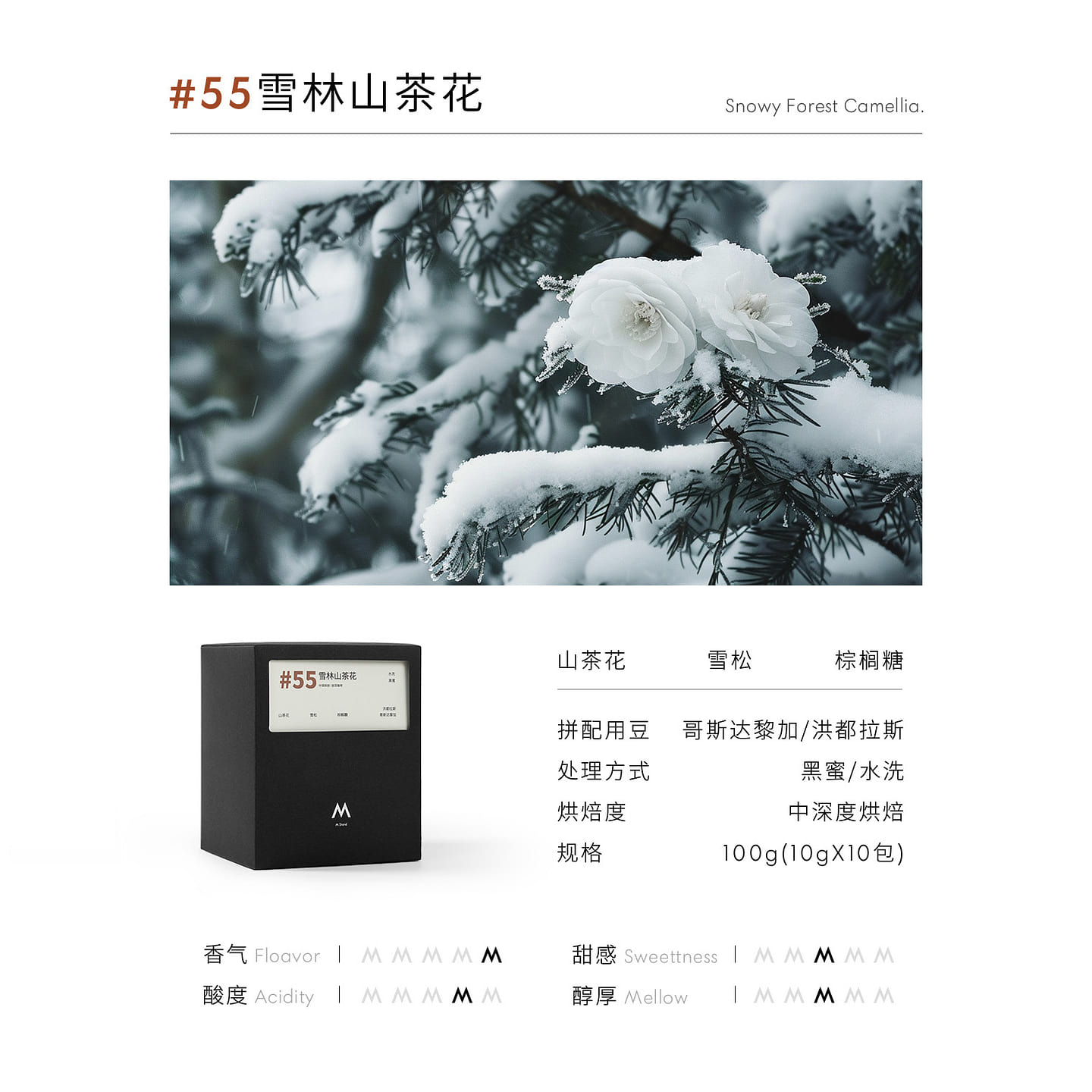 Premium Drip Coffee – Xuelin Camellia 10 Bags 100 g