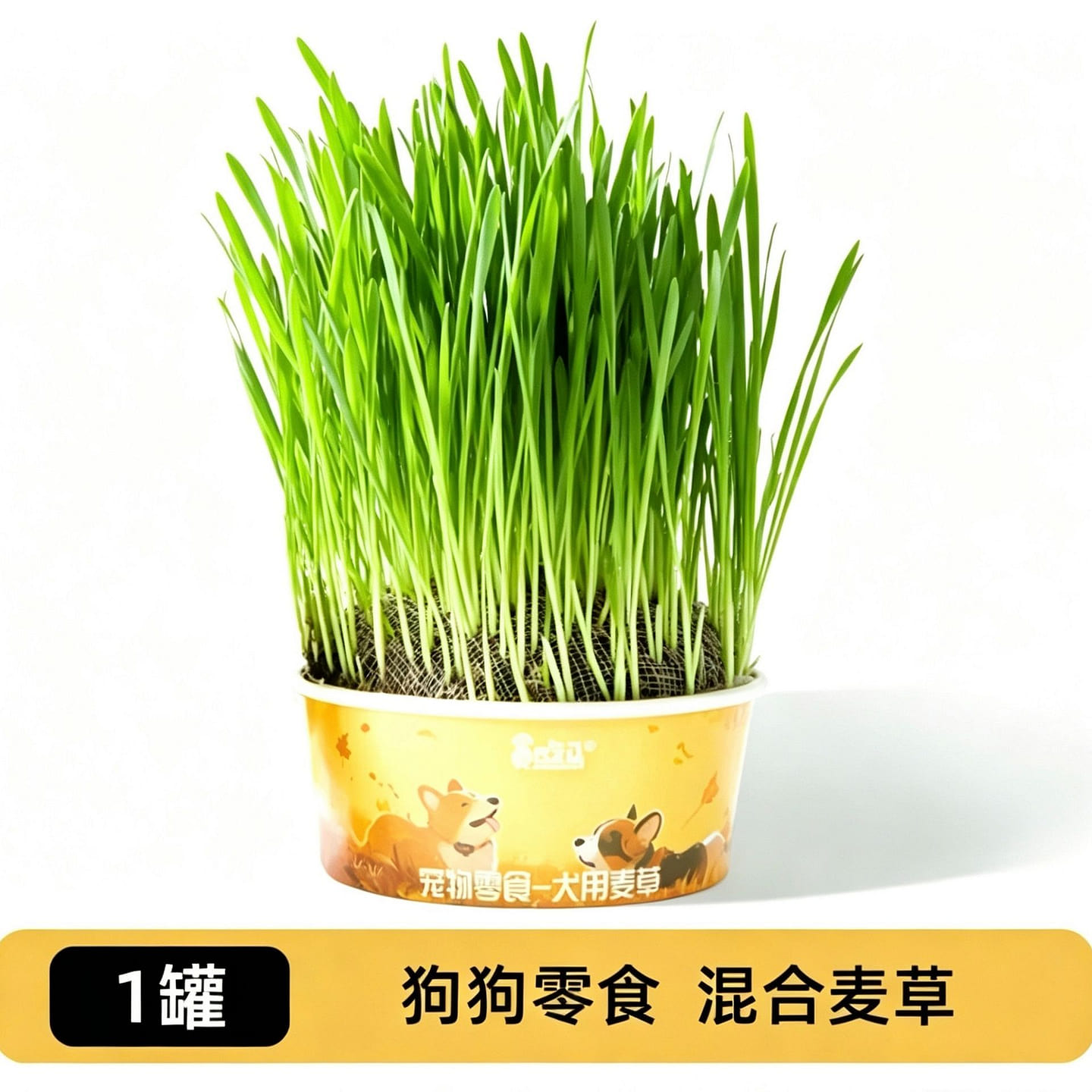 Greedy Horse Dog Grass Dog Snacks 1 Box 50 g