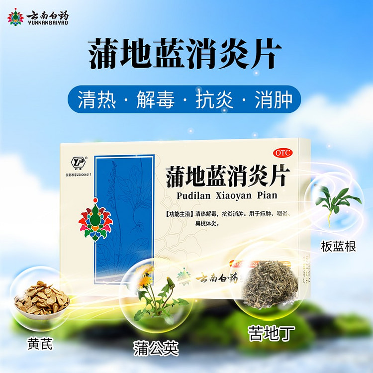 Yunnan Baiyao Pudilan Anti inflammatory Tablets 1 box