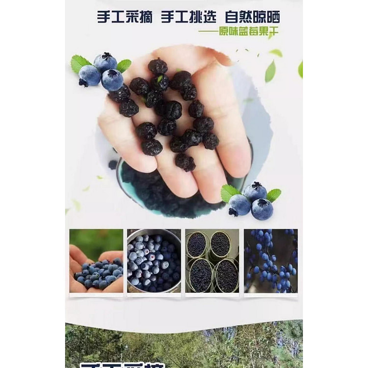 东北特产蓝莓果脯*1袋